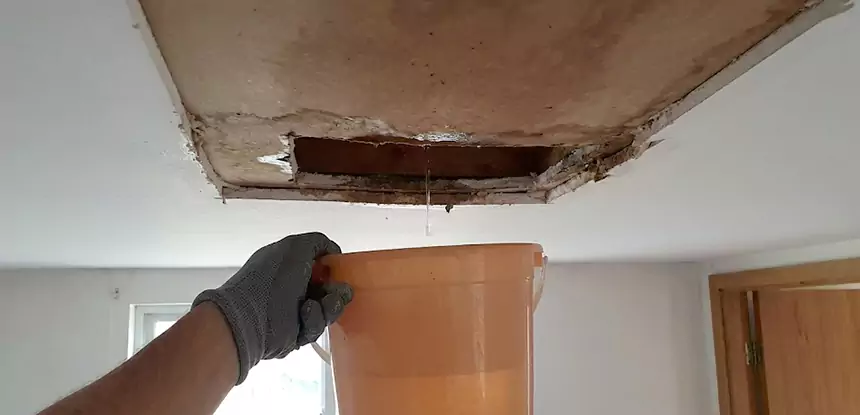 Ceiling Mold Repair Conyers