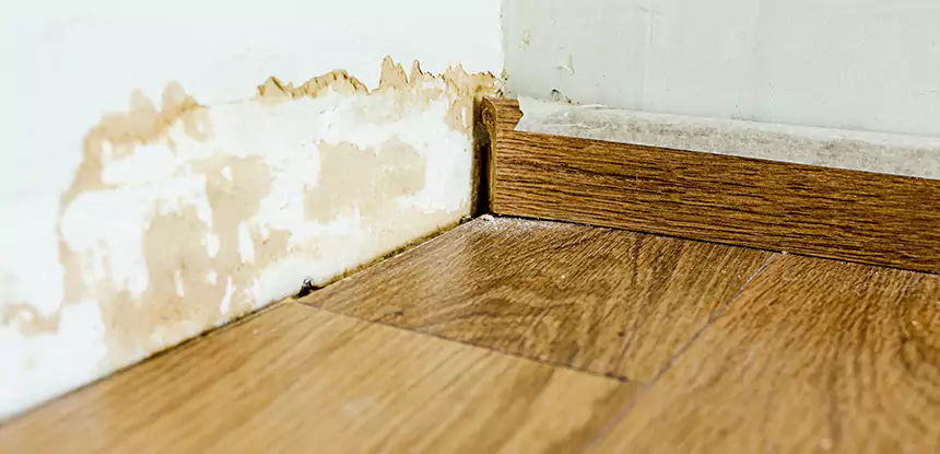 Professional Fix Water Damaged Wood Services in Conyers, GA